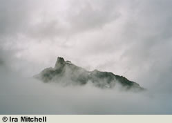 Fog Shrouded Mountaintop